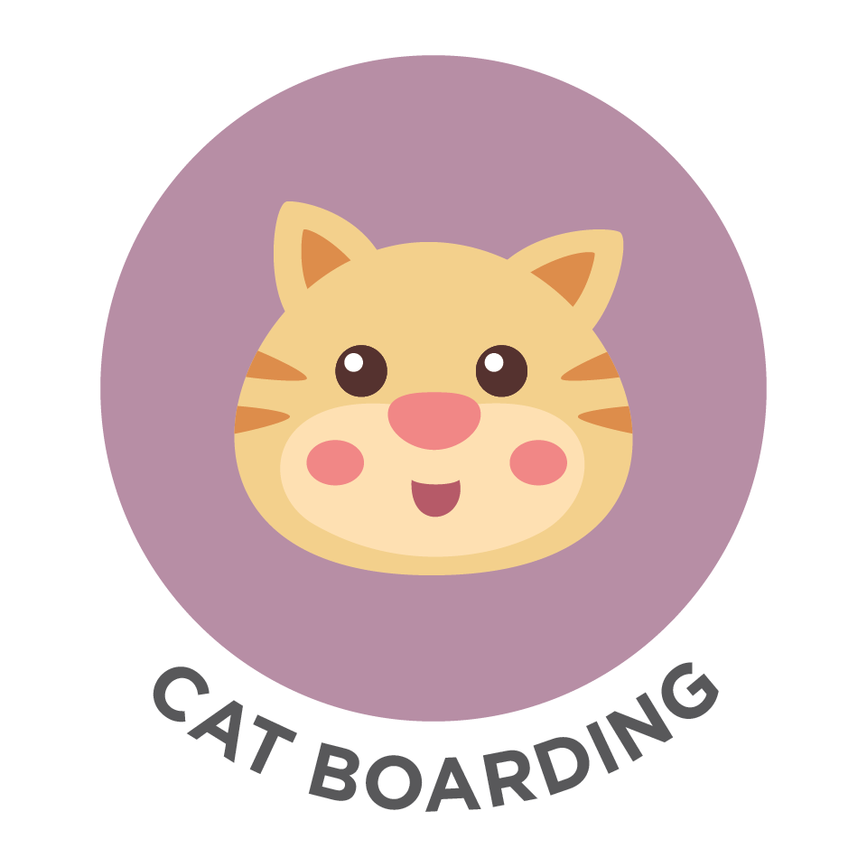 Cat Boarding